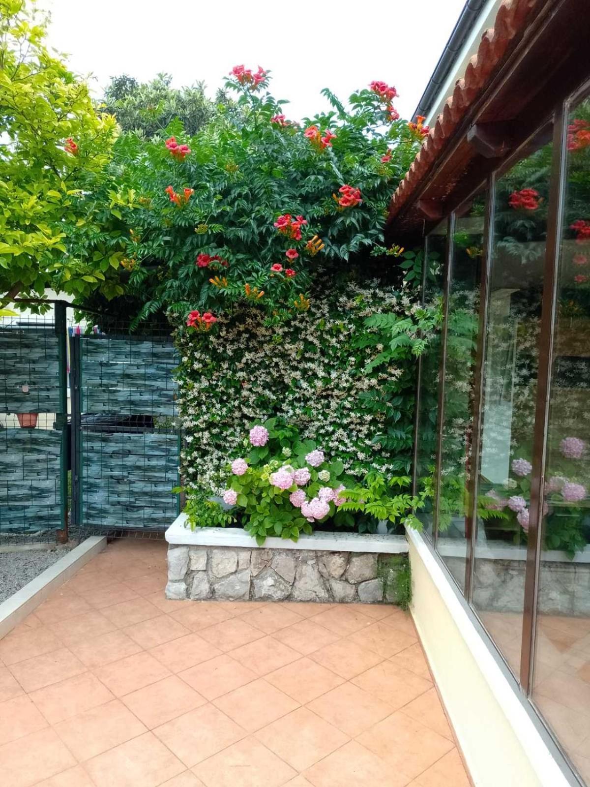 Apartment Ela, Kostrena Rijeka المظهر الخارجي الصورة